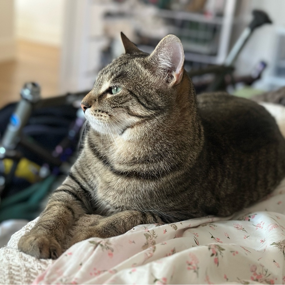 Meet your Posher, Olivia